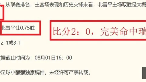 英冠独家昨日11战全，百家乐赔率，胜进球率高达9胜8负火爆状态背后的秘密